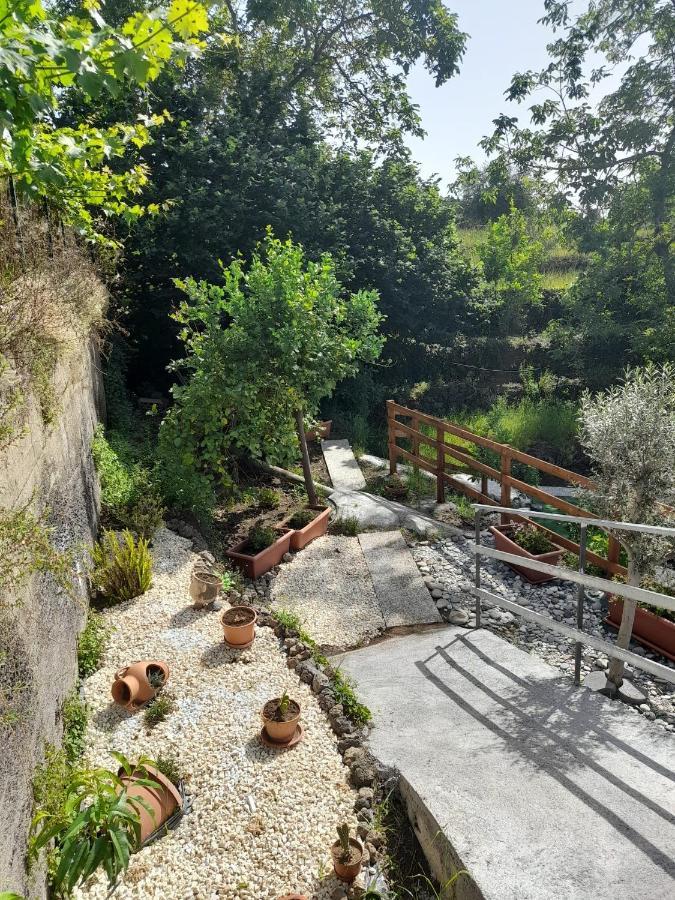 ザッフェラーナ・エトネーア Sikelia Etna Houseヴィラ エクステリア 写真